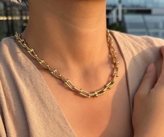 Tiffany Necklace 